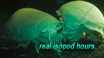 An example image with witty caption.