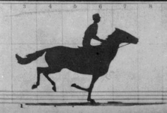 The Horse in Motion anim